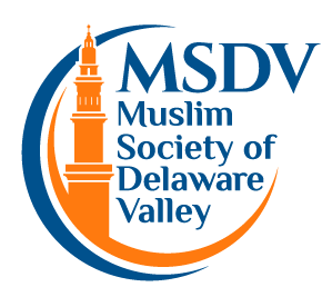 MSDV Logo